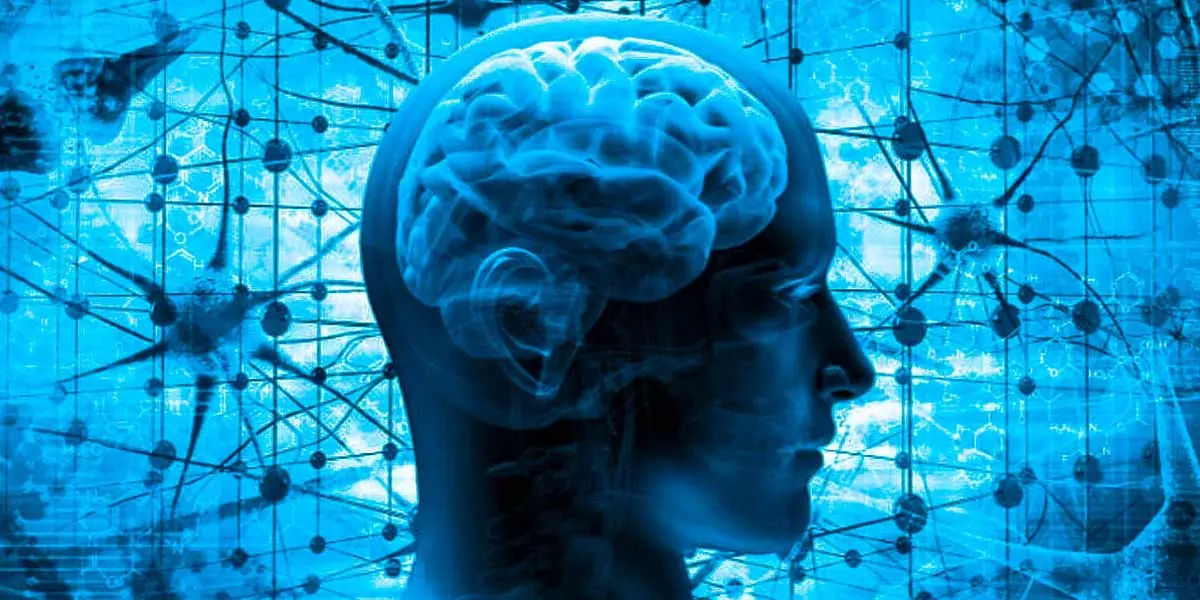 Nerve Cells, love nerve cells 