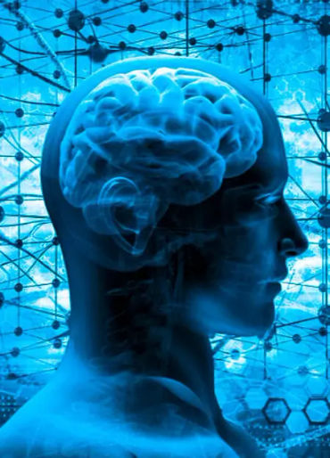 Nerve Cells, love nerve cells 