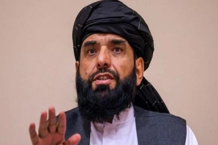 Taliban Have Nominated Their Doha Based Spokesman Suhail Shaheen As Afghanistan UN Ambassador