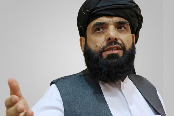 Suhail Shaheen named Afghan UN envoy