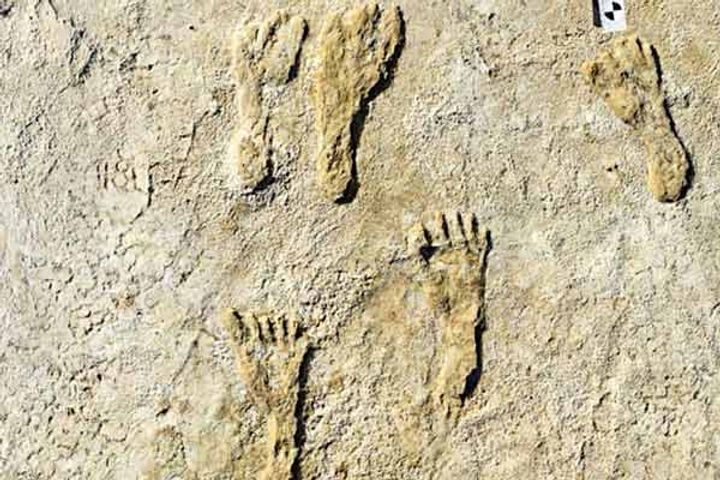 Oldest human footprints