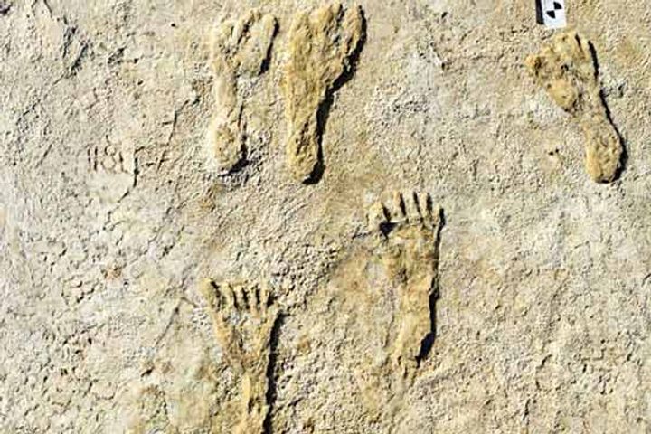 Oldest human footprints Oldest human footprints