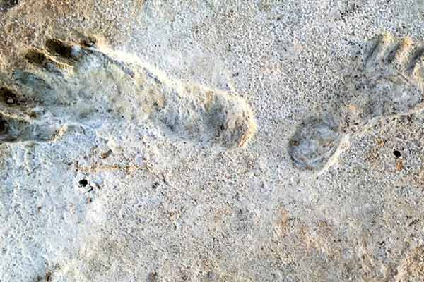 Researchers unearth oldest human footprints in New Mexico