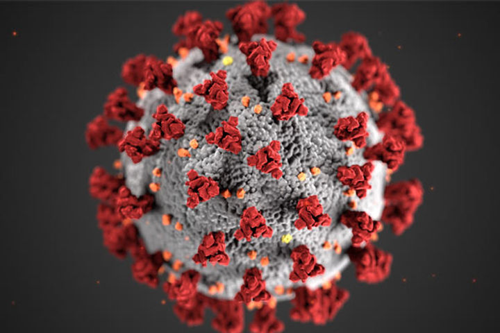 Coronavirus in India