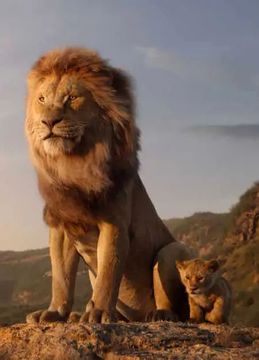 lion facts, lions, lion fact, lion hunting, lion hunt