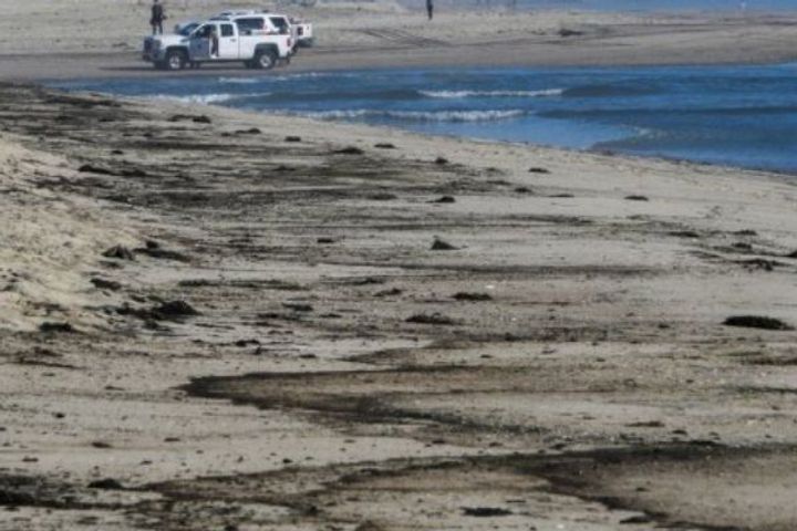 33 thousand barrels of oil spilled on Huntington Beach, California, many birds including fish died