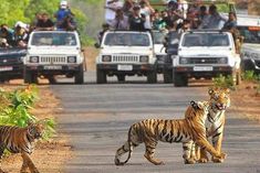 Jim Corbett National Park can be renamed as Ramganga National Park