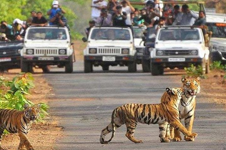 Jim Corbett National Park can be renamed as Ramganga National Park