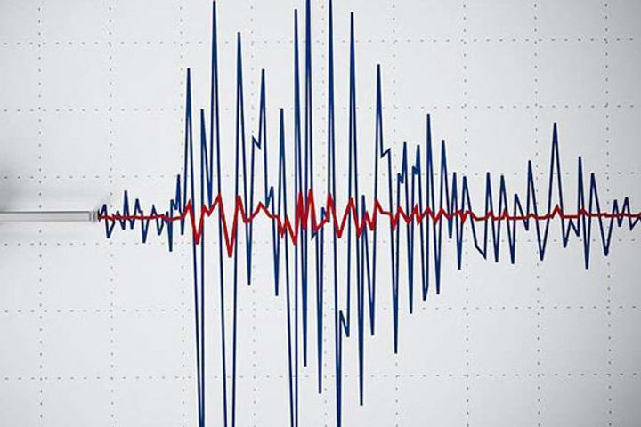 Earthquake Tremors in Tokyo