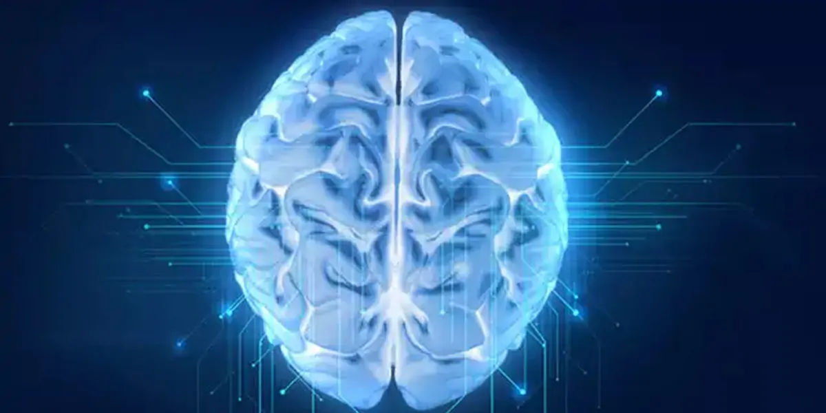 brain facts, brain, brain fact, left side brain, right side brain, creative brain