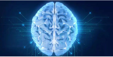 brain facts, brain, brain fact, left side brain, right side brain, creative brain