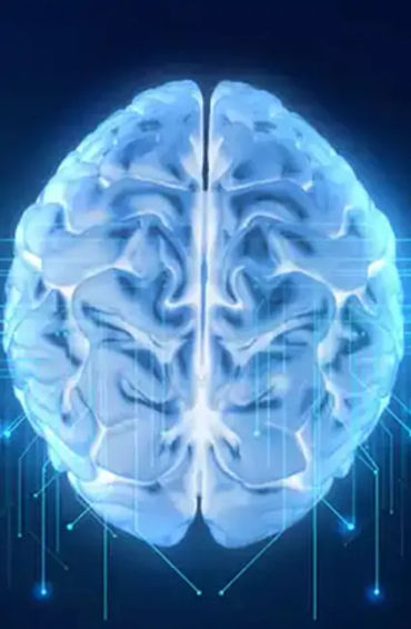 brain facts, brain, brain fact, left side brain, right side brain, creative brain