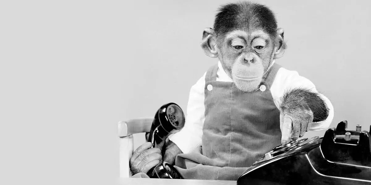monkey, monkey facts, monkey experiment, child facts, child experiments