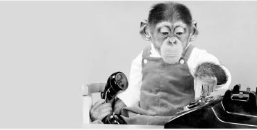 monkey, monkey facts, monkey experiment, child facts, child experiments 