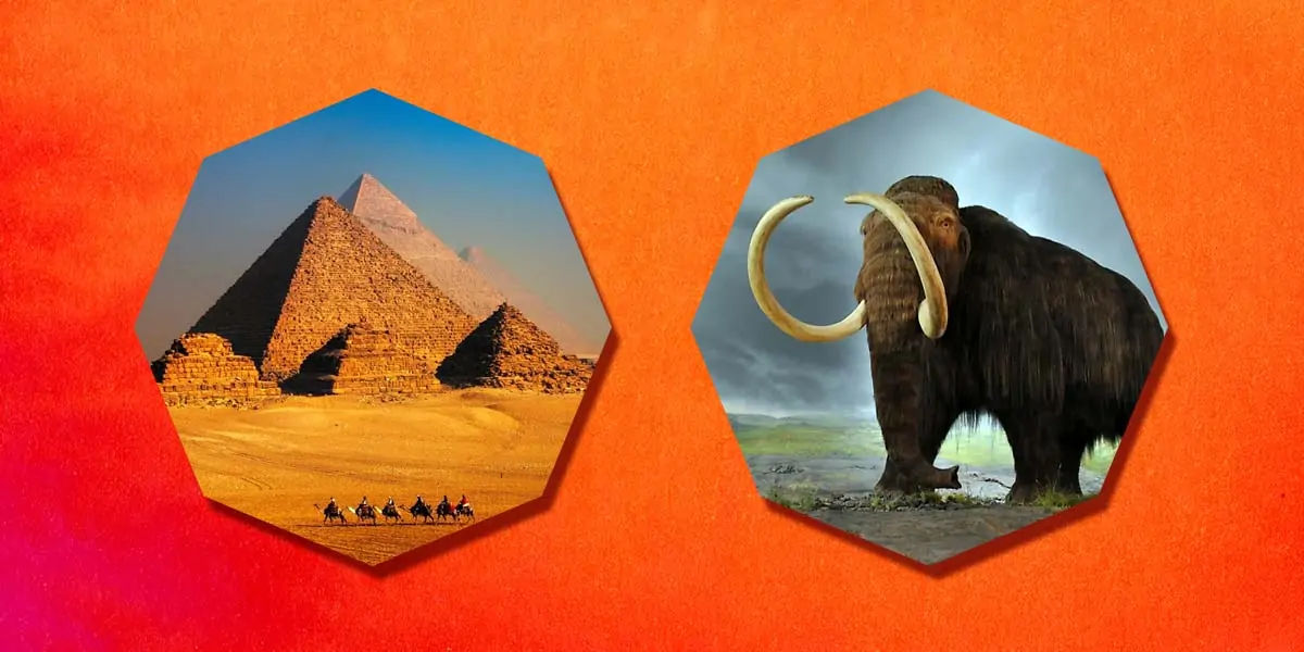 mammoths, pyramids, mammoths history, pyramids history, mammoths and pyramids