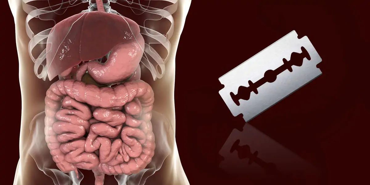 digestion, human digestion, razor blade in stomach, digestion process, digestion acids