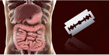digestion, human digestion, razor blade in stomach, digestion process, digestion acids