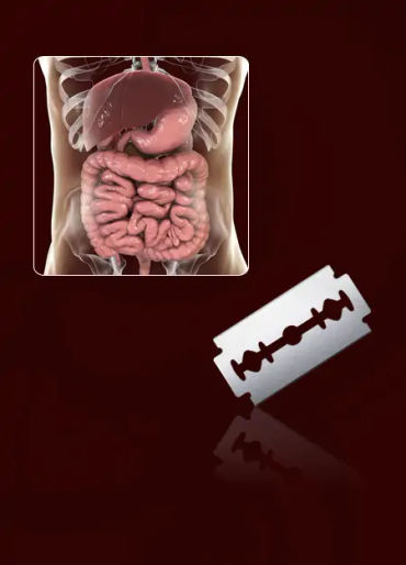 digestion, human digestion, razor blade in stomach, digestion process, digestion acids