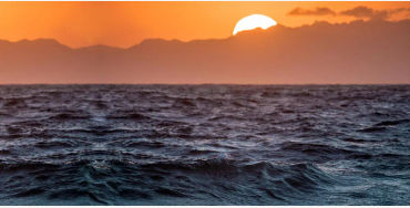 Ocean, ocean fact, ocean facts, ocean oxygen, oxygen facts, oxygen fact