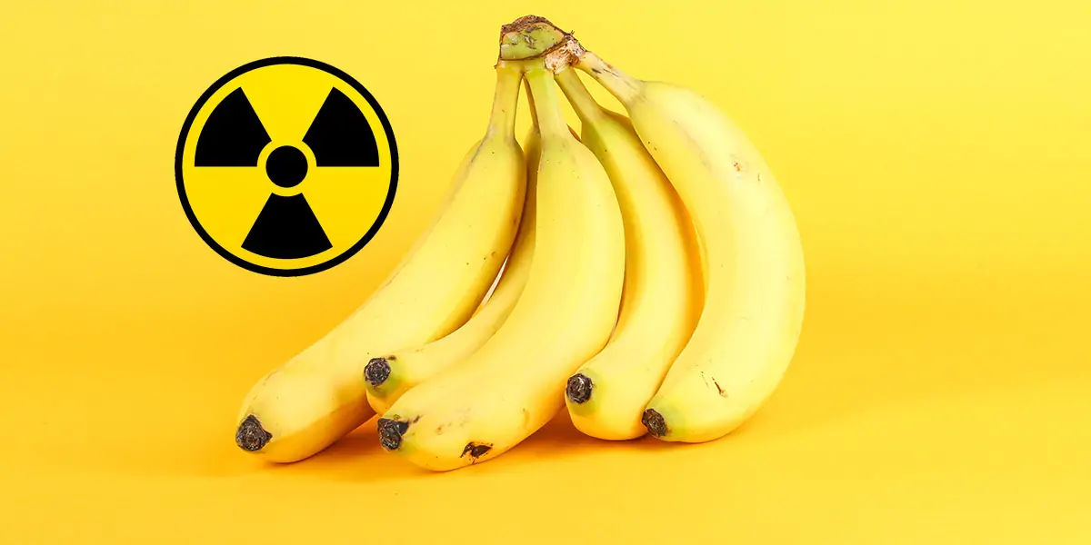 banana, banana facts, banana potassium, banana radioactive, radioactive fruits