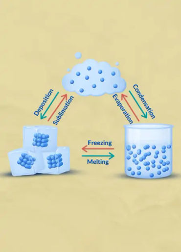 water facts, triple boil, liquid, ice, gas, water states, water temperature