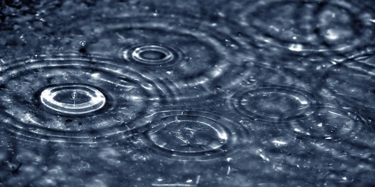 rain, rain drop, rain smell, rain facts, rainy season