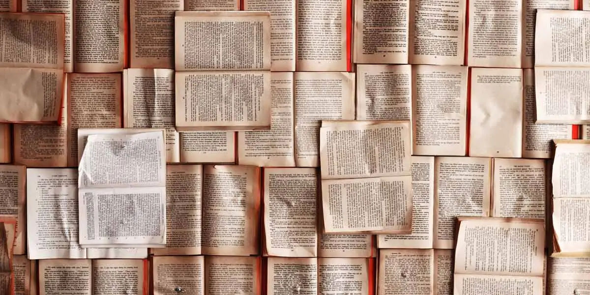 language, language facts, language evolution