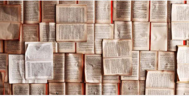 language, language facts, language evolution