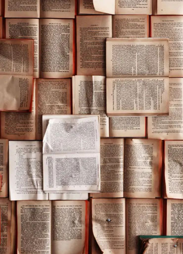 language, language facts, language evolution