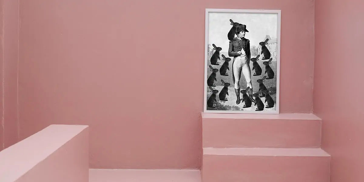 napolean, napolean facts, napolean fact, napolean bunnies, bunny facts, bunny fact
