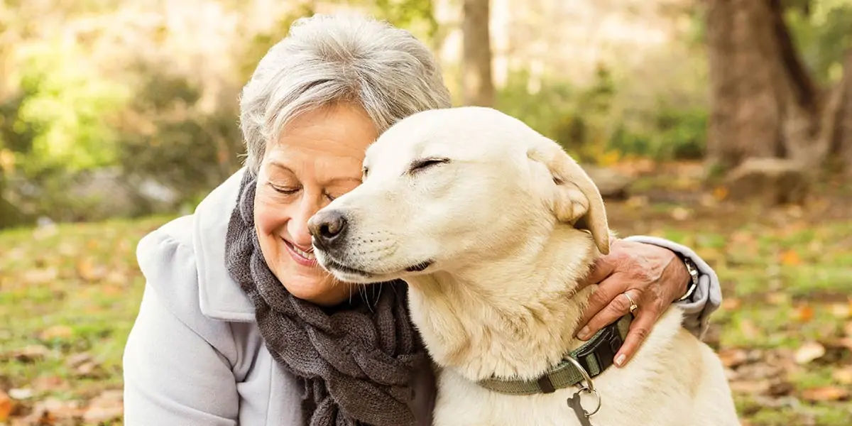 dogs, dogs facts, dog vision, dog fun facts, fun facts about dogs, dogs hearing, dogs facts