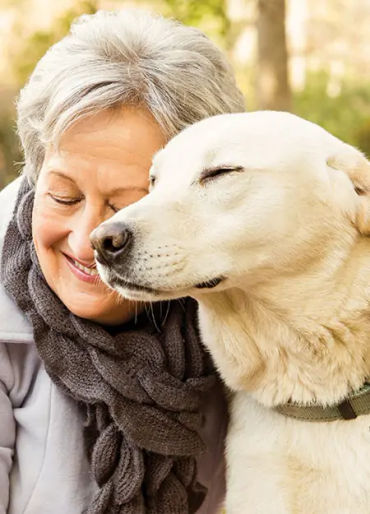 dogs, dogs facts, dog vision, dog fun facts, fun facts about dogs, dogs hearing, dogs facts