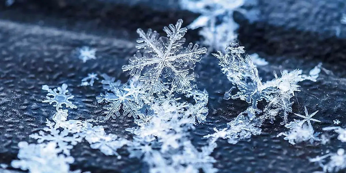 Guinness World Record, biggest snowflake,