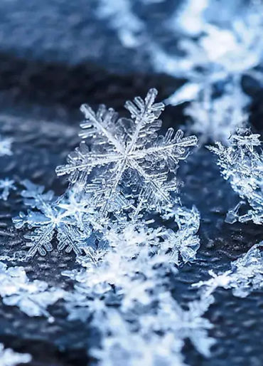 Guinness World Record, biggest snowflake, 