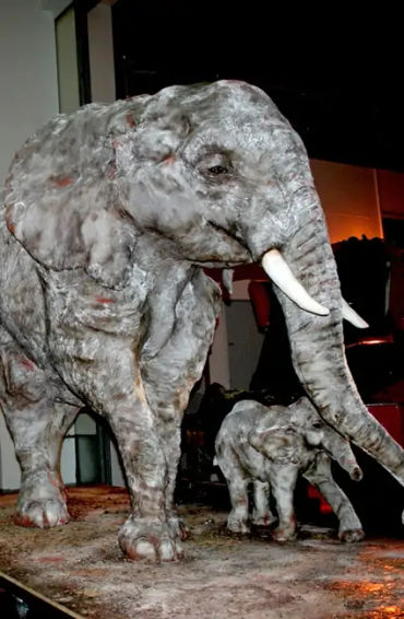 cupcakes, cakes, cake facts. cupcake facts, cake fact, bleuberry vake, cheesecake, cake, muffin. muf