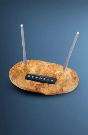 potato facts, potato wifi, wifi facts, wifi potato, facts, fun facts
