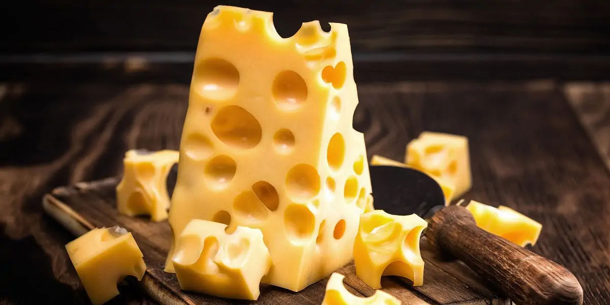 swiss, american, american cheese, swiss cheese