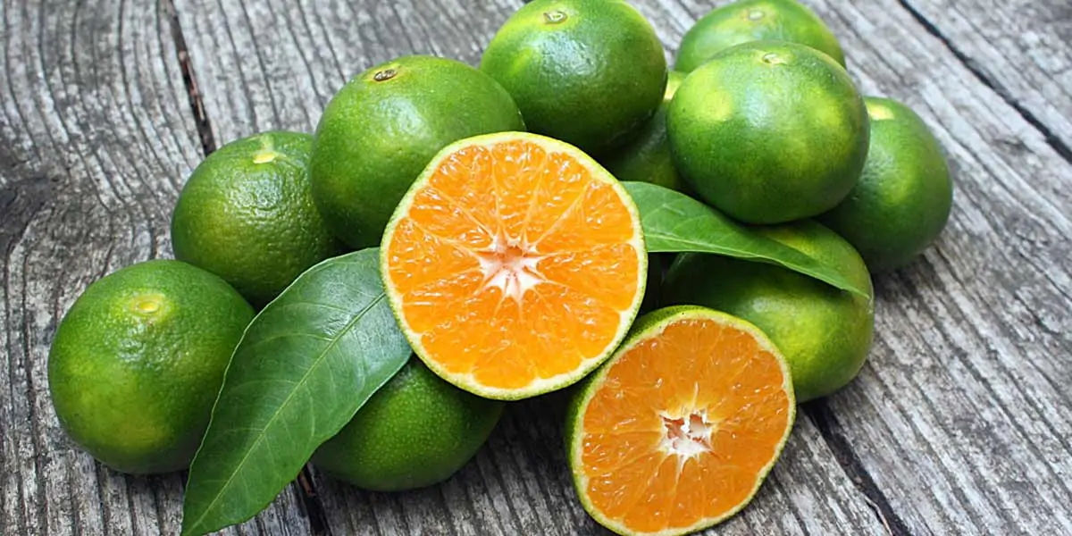 oranges, oranges facts, orange color, orange fruit