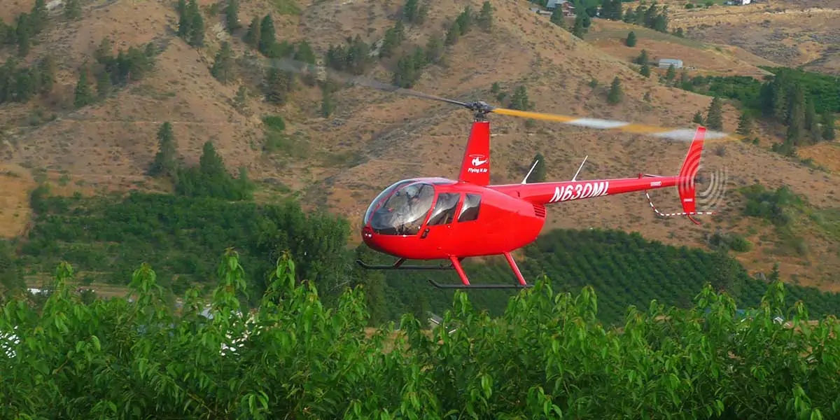 cherry facts, cherry fact, cherry farmers, cherry