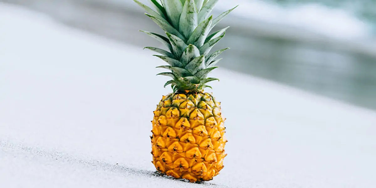 pineapple, pineapple facts, pineapple taste, pineapple taste buds, pineapple enzymes, pineapple fact