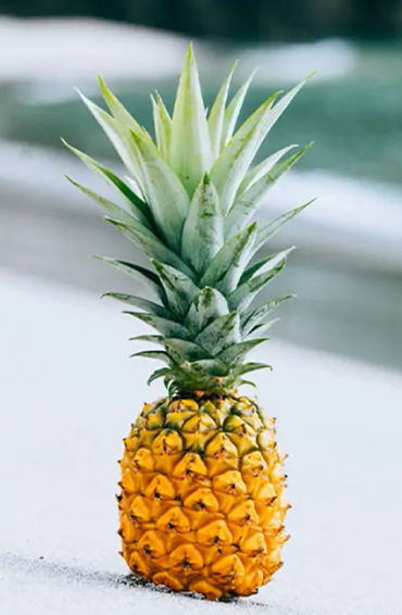 pineapple, pineapple facts, pineapple taste, pineapple taste buds, pineapple enzymes, pineapple fact