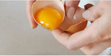 egg, egg yolk facts, egg whites, protein in eggs, egg protein, egg yolk protein, egg white protein, 