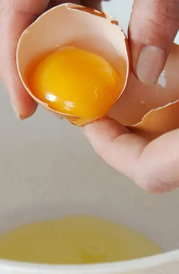 egg, egg yolk facts, egg whites, protein in eggs, egg protein, egg yolk protein, egg white protein, 