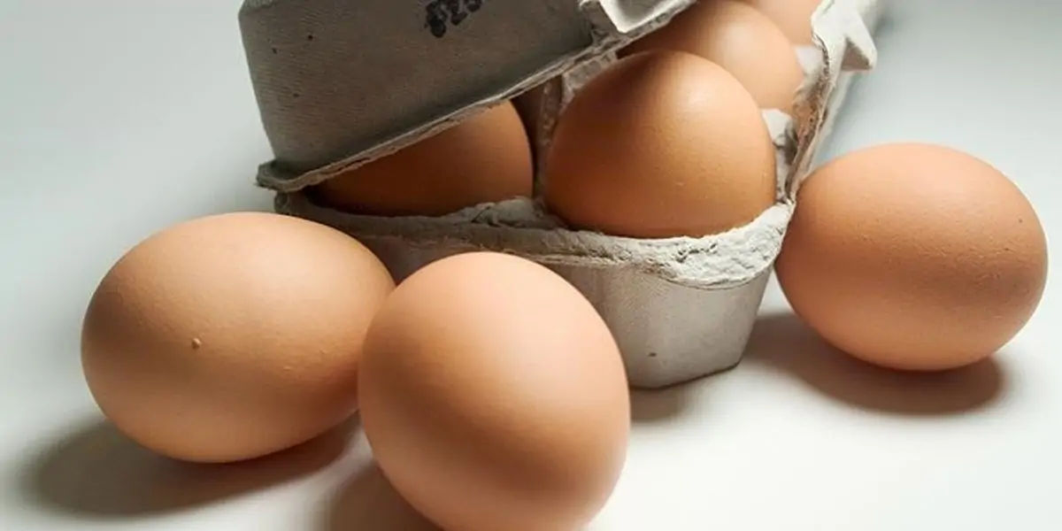 egg, egg yolk facts, egg whites, protein in eggs, egg protein, egg yolk protein, egg white protein,
