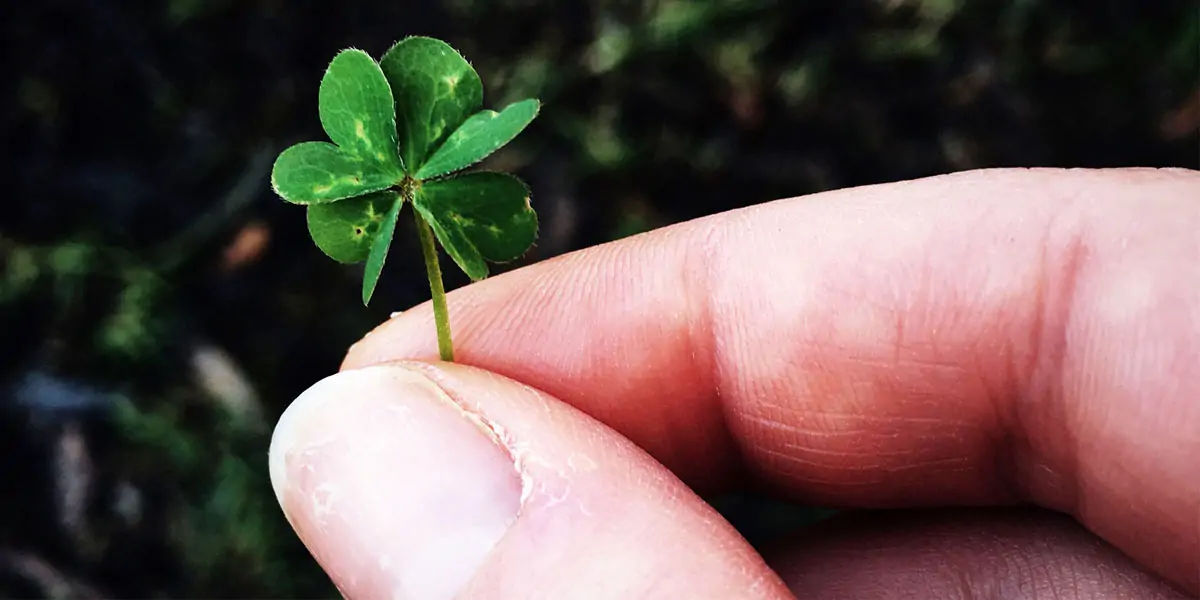 lucky charm, lucky charm facts, lucky charm work, lucky charms, lucky charms facts, lucky charm fact
