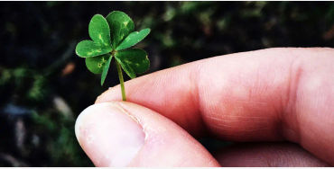 lucky charm, lucky charm facts, lucky charm work, lucky charms, lucky charms facts, lucky charm fact