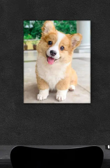 Corgis, Corgis facts, Corgis angels, Corgis fact, Corgis anime, Corgis images, Corgi dog, Corgi pric