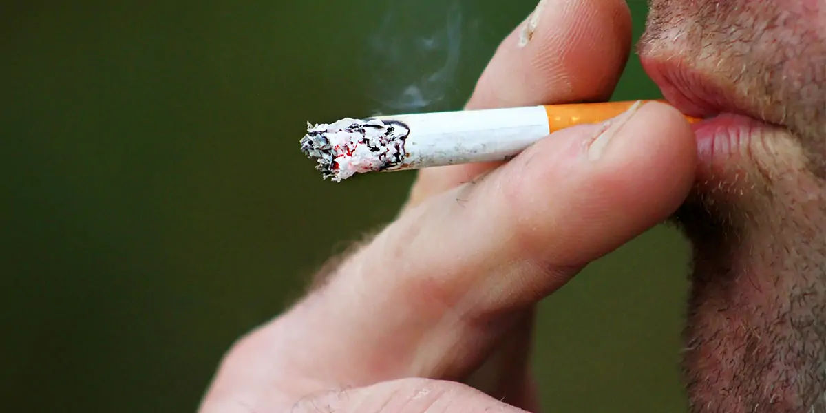 cigarette, cigarette facts, cigarette fact, cigarette germs, cigarette harmful 