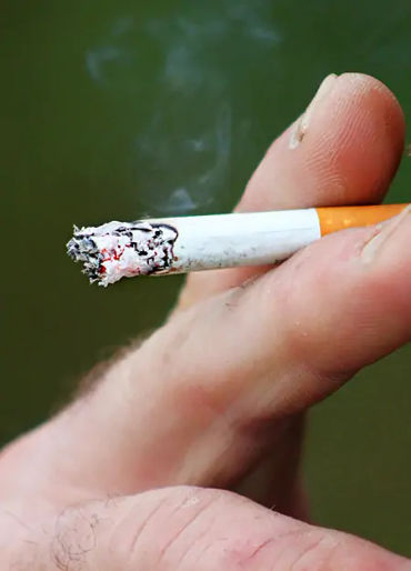 cigarette, cigarette facts, cigarette fact, cigarette germs, cigarette harmful 