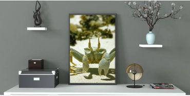 Ghost crabs, Ghost crabs facts, Ghost crabs fact, Ghost crabs growl, crab facts, crab fact